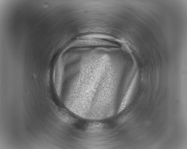 X0000073830206200608311917