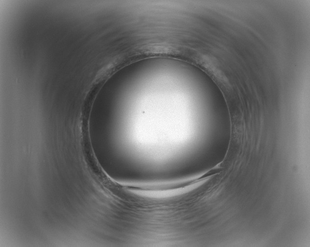 X0000073830207200608311917