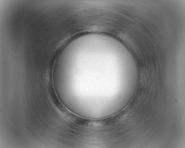 X0000073830208200608311917