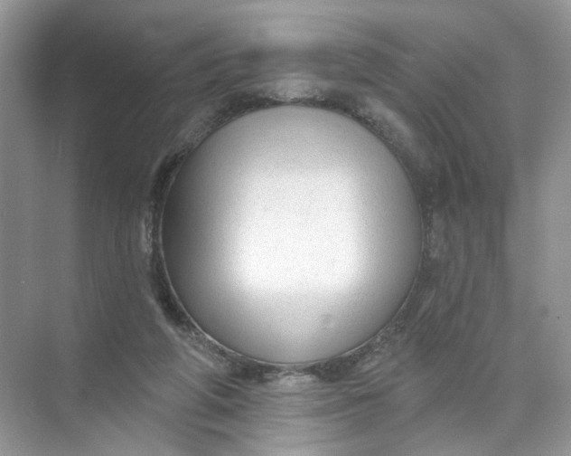 X0000073830210200608311917