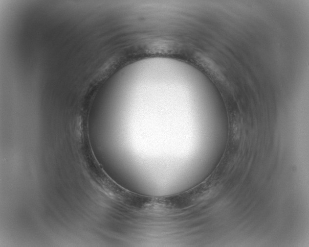 X0000073830211200608311917