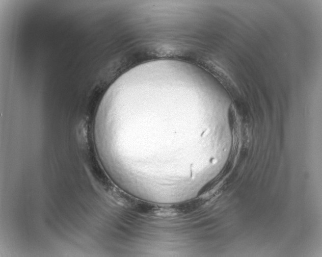 X0000073830214200608311917