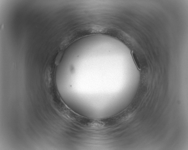 X0000073830215200608311917