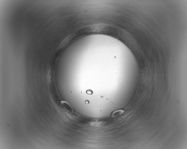 X0000073830216200608311917