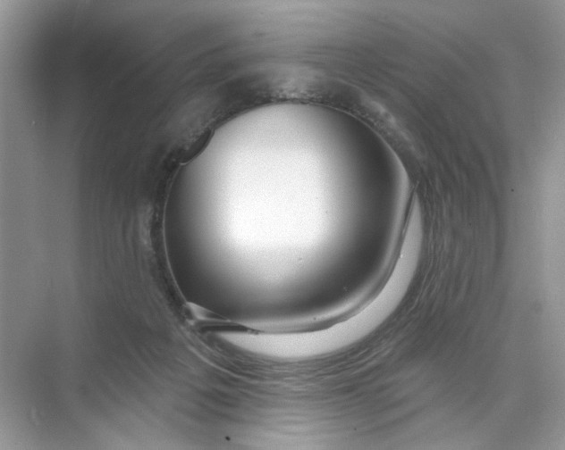 X0000073830217200608311917