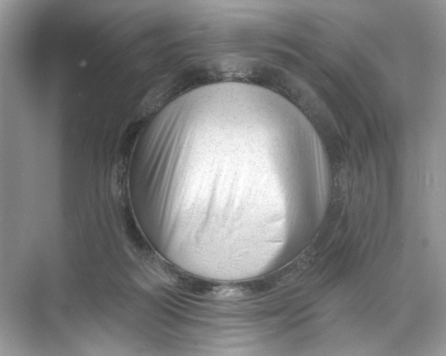 X0000073830218200608311917