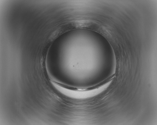 X0000073830219200608311917