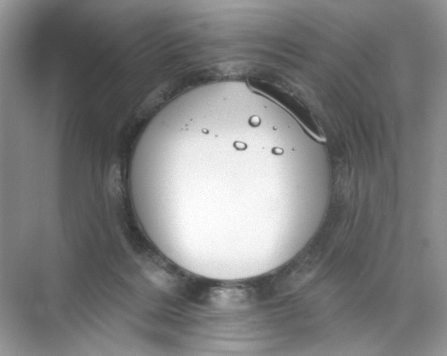 X0000073830220200608311917