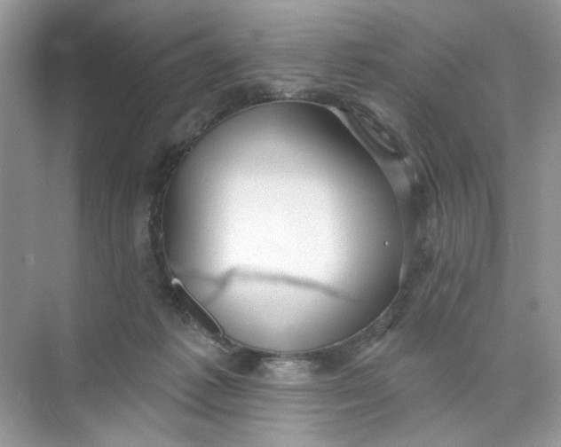 X0000073830221200608311917