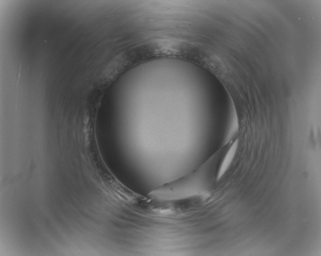 X0000073830223200608311917