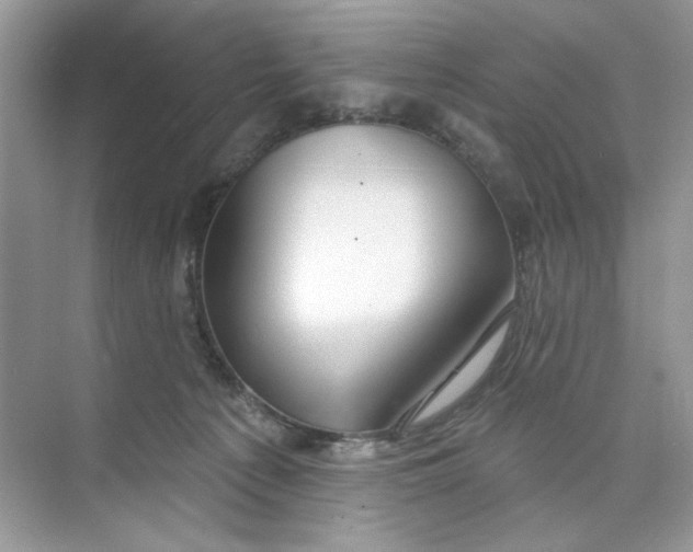 X0000073830225200608311917