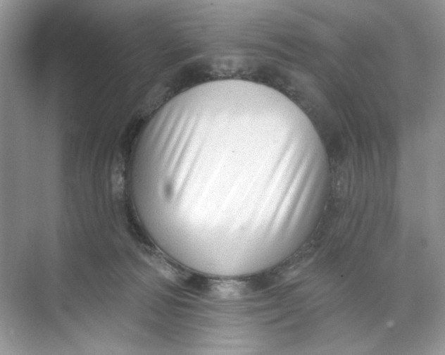 X0000073830226200608311917