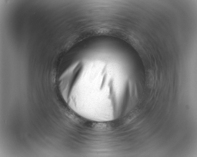 X0000073830230200608311917