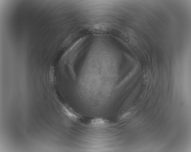 X0000073830231200608311917