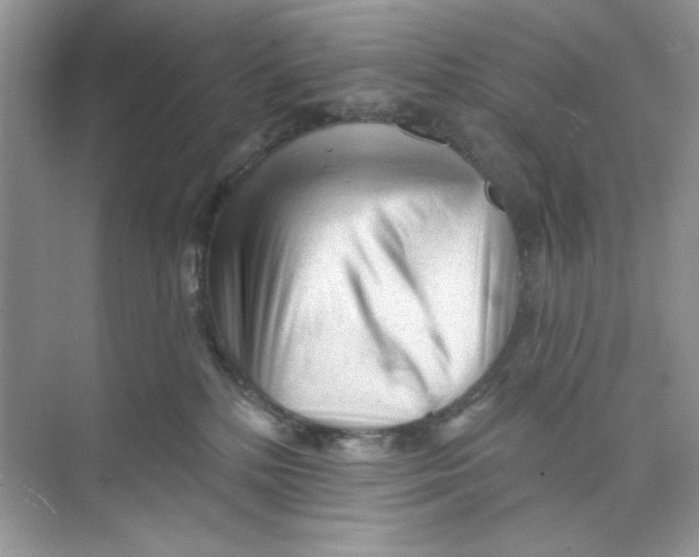 X0000073830232200608311917