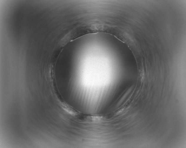 X0000073830233200608311917