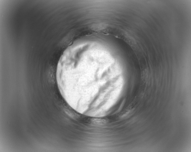 X0000073830234200608311917