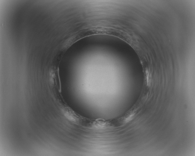 X0000073830235200608311917