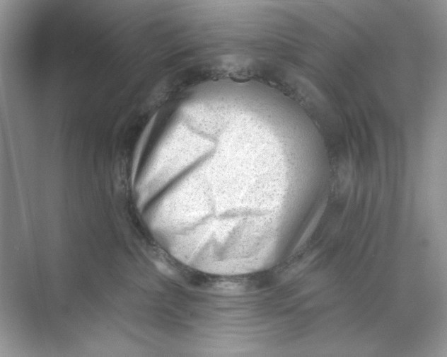 X0000073830236200608311917