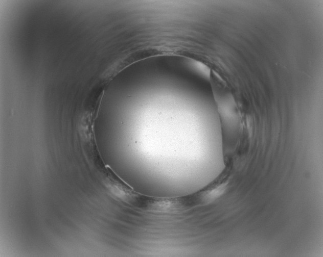 X0000073830237200608311917