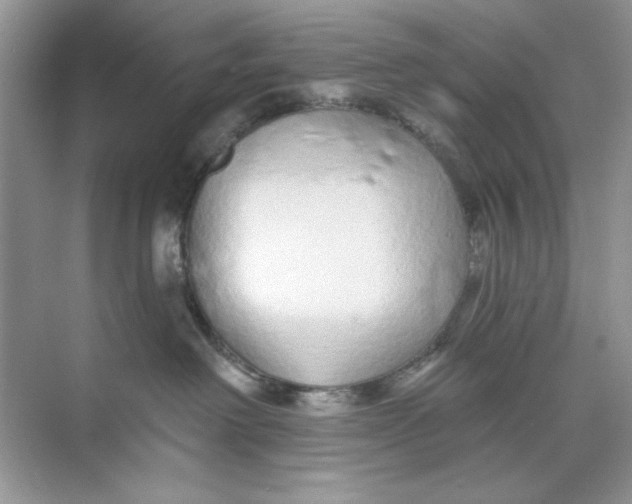 X0000073830238200608311917