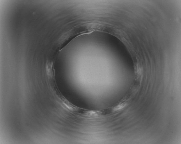 X0000073830239200608311917