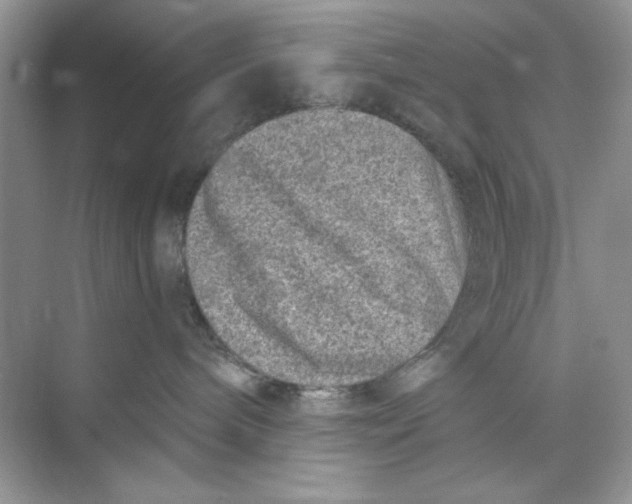 X0000073830240200608311917