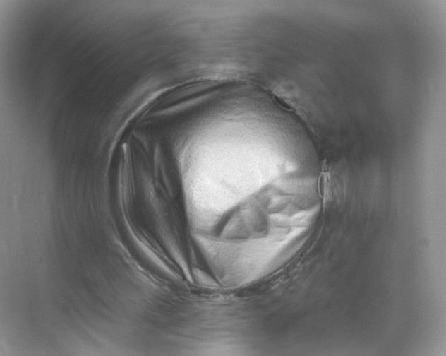 X0000073830243200608311916