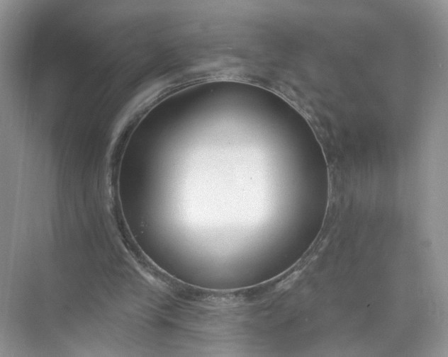 X0000073830245200608311916