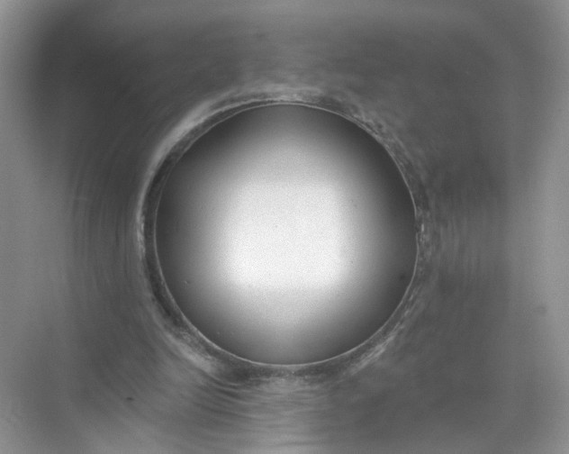 X0000073830246200608311916