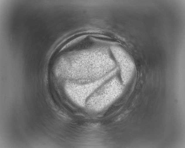 X0000073830247200608311916