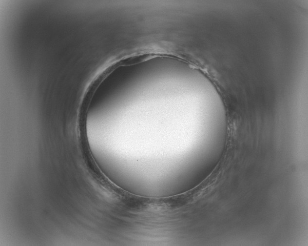 X0000073830248200608311916