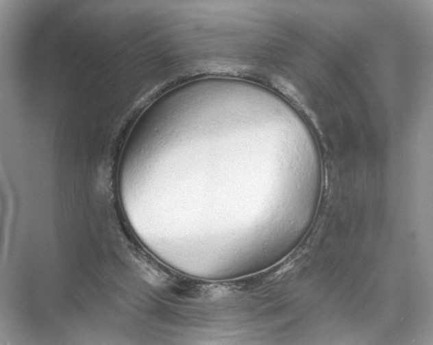 X0000073830249200608311916