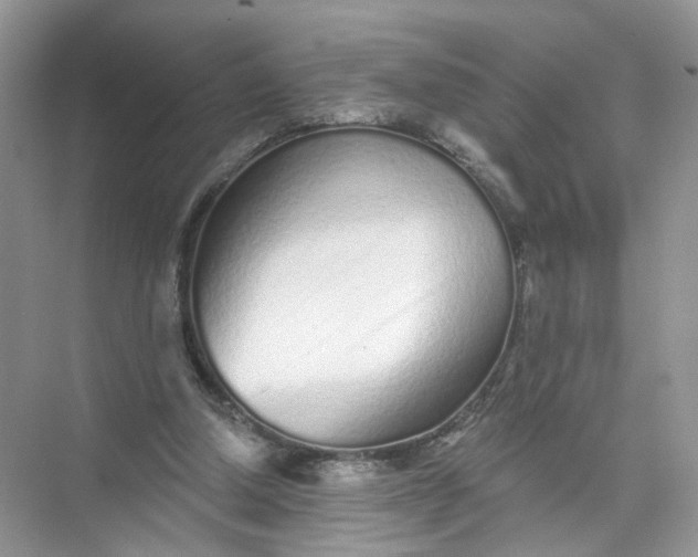 X0000073830250200608311916