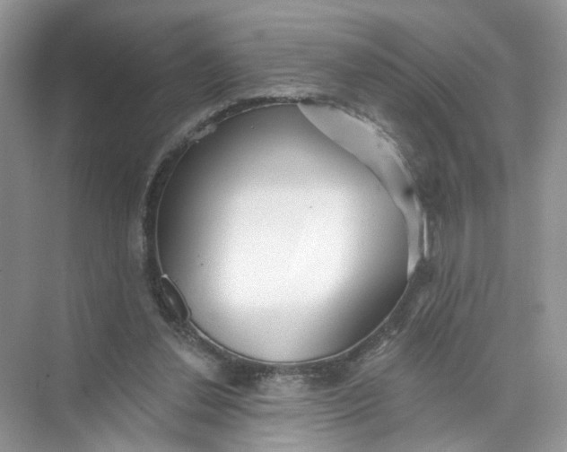 X0000073830252200608311916