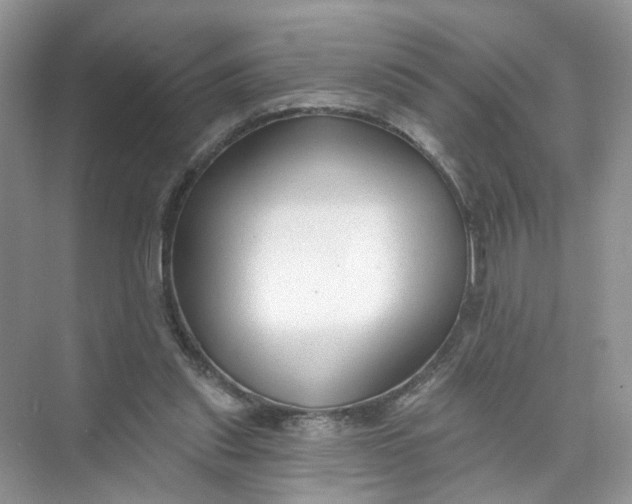 X0000073830253200608311916