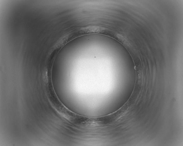 X0000073830254200608311916