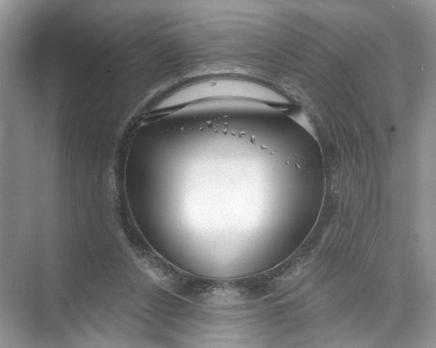 X0000073830256200608311916