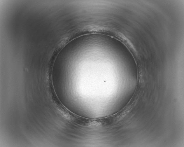 X0000073830257200608311916