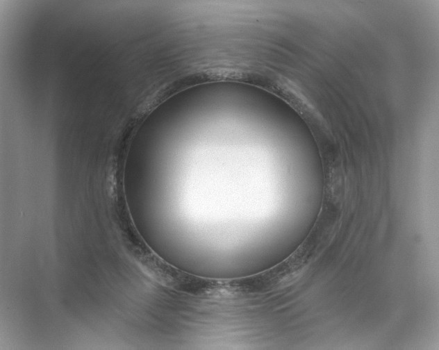 X0000073830259200608311916