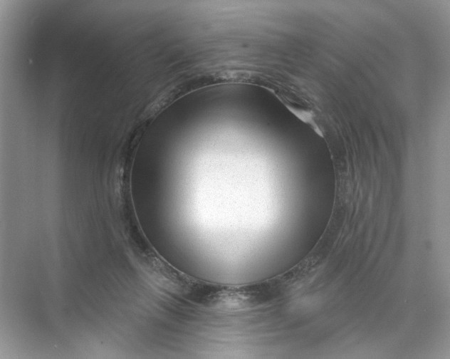 X0000073830263200608311916