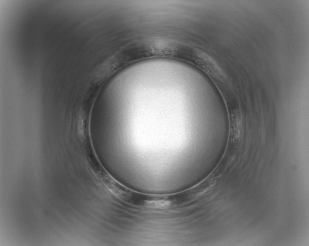 X0000073830266200608311916