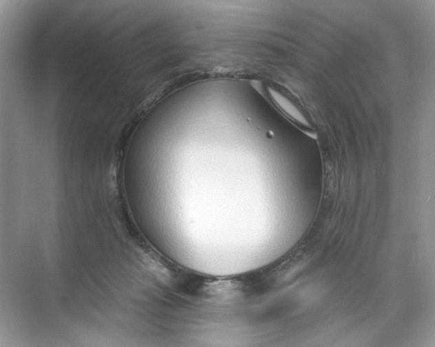 X0000073830269200608311916