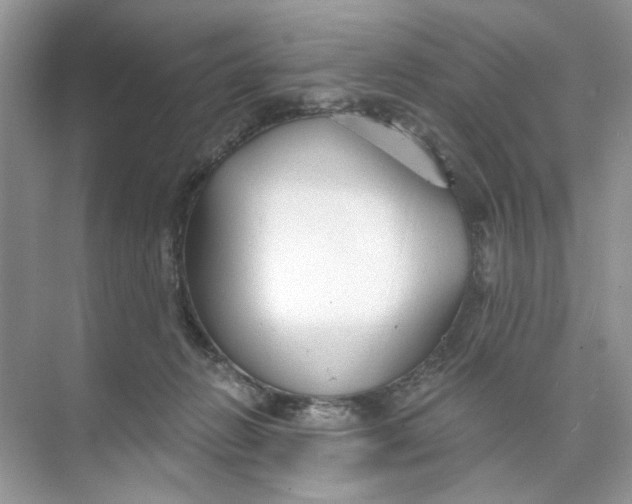 X0000073830270200608311916