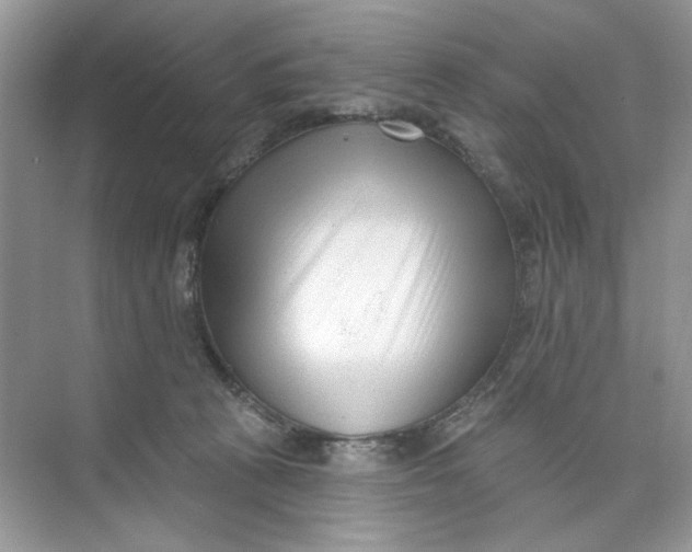 X0000073830273200608311916