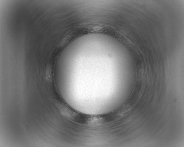 X0000073830274200608311916