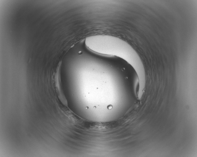 X0000073830276200608311916