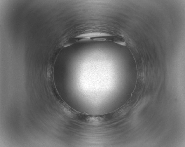 X0000073830277200608311916