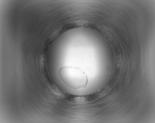 X0000073830279200608311916