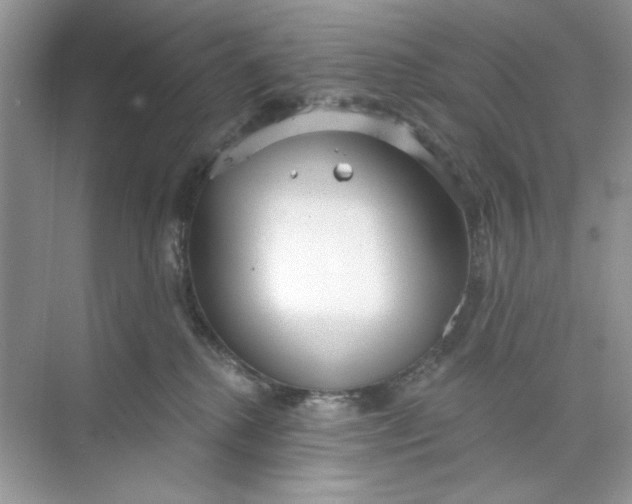 X0000073830280200608311916